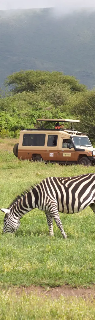Im Ngorongoro-Krater